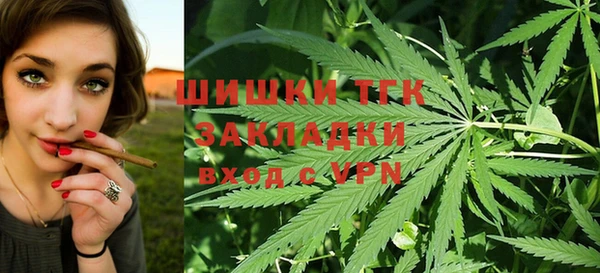 PSILOCYBIN Коряжма