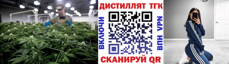 ТГК концентрат Медынь